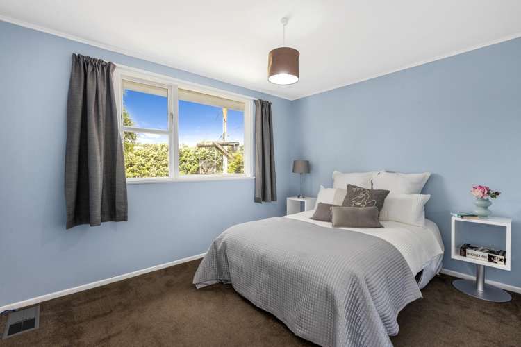 135 Miramar North Road Miramar_9