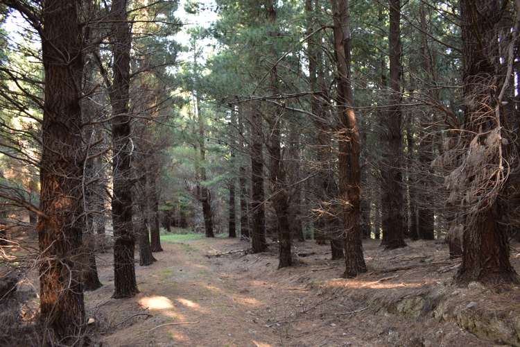 245 Sladdens Bush Road Oxford_12