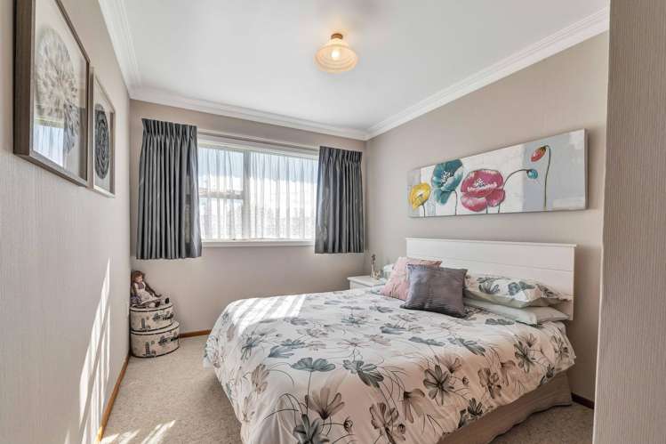 238 Huatoki Street Upper Vogeltown_13