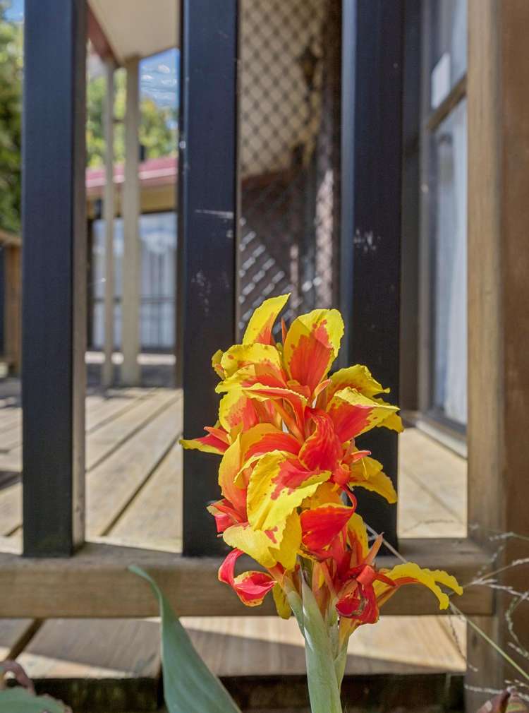 78 Russell Road Huntly_34