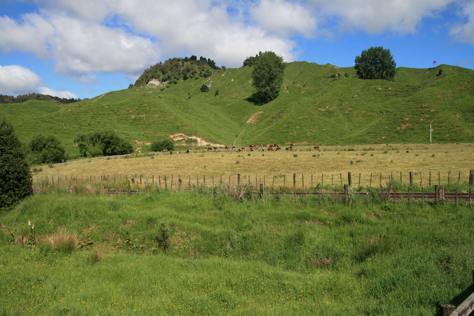 5 Marco Road Ruapehu-King Country Surrounds_0