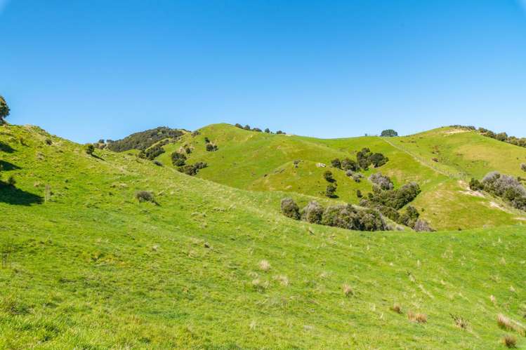 600 Hundalee Road Kaikoura_5