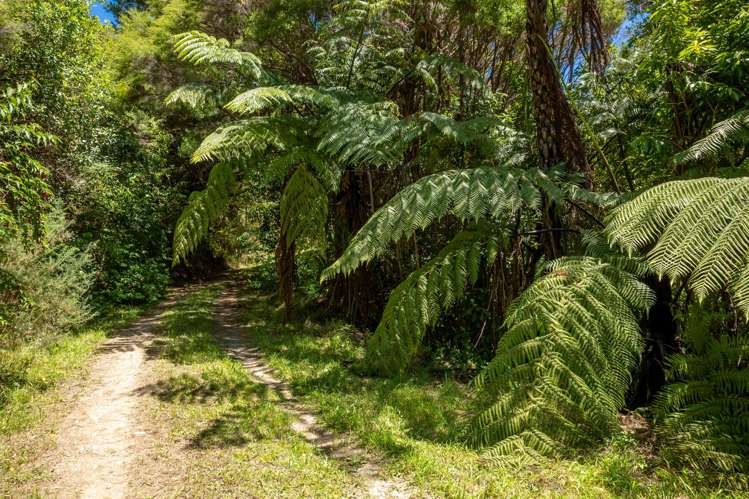 185 Kanuka Rise Wakapuaka_11