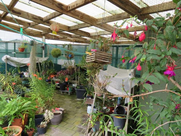 39 Kaka Street Piopio_6