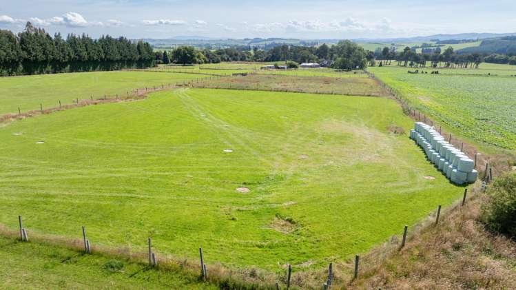 294 Sheddan Road Tapanui_32