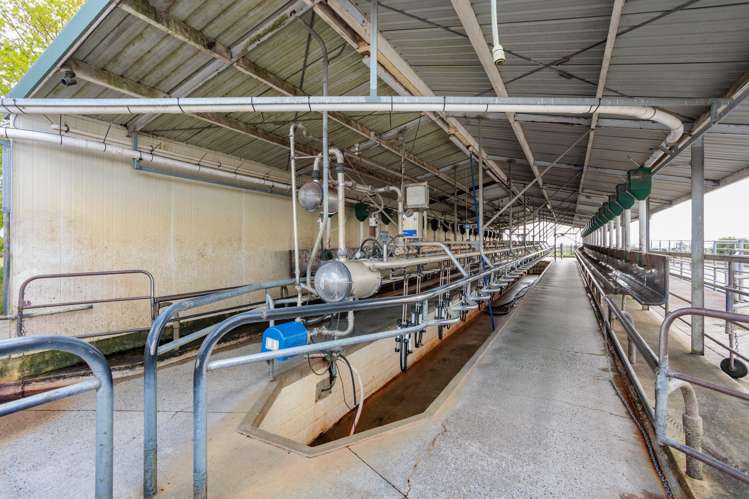 1001 Piako Road Gordonton_14