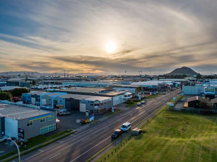 56D Newton Street Mount Maunganui_7