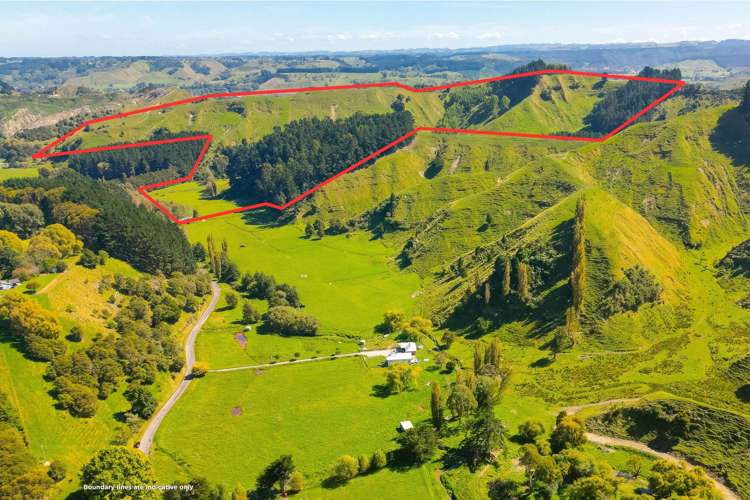 Lot 1, Longacre Road Okoia_5