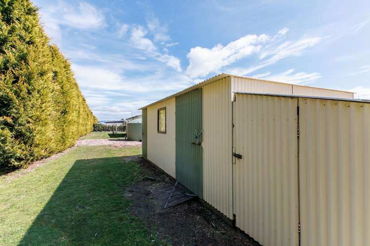 36 Hogbin Road_5