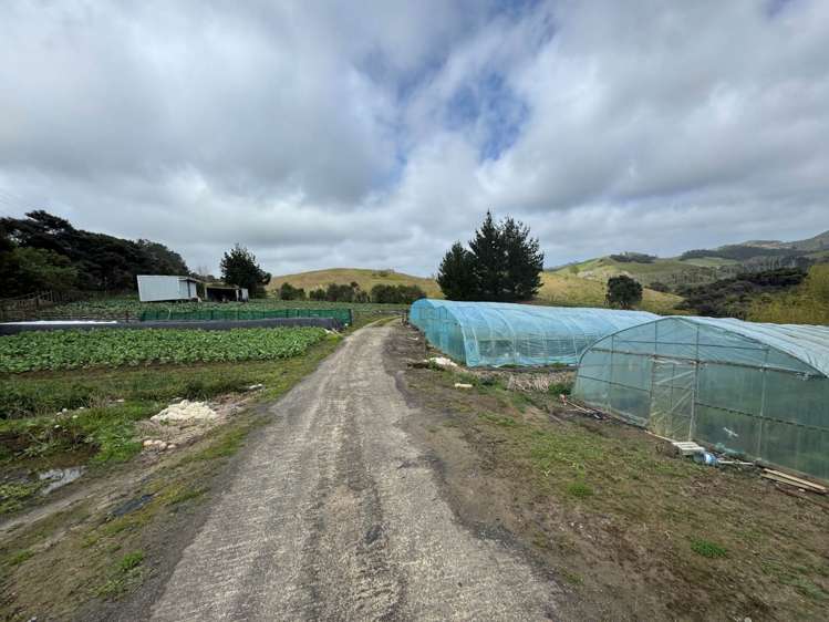 1755 South Head Road South Head_10