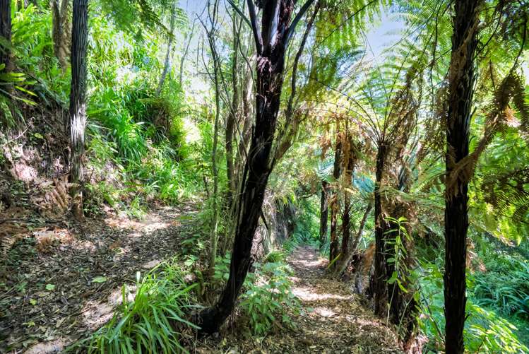 9 Ruskin Place Westown_19