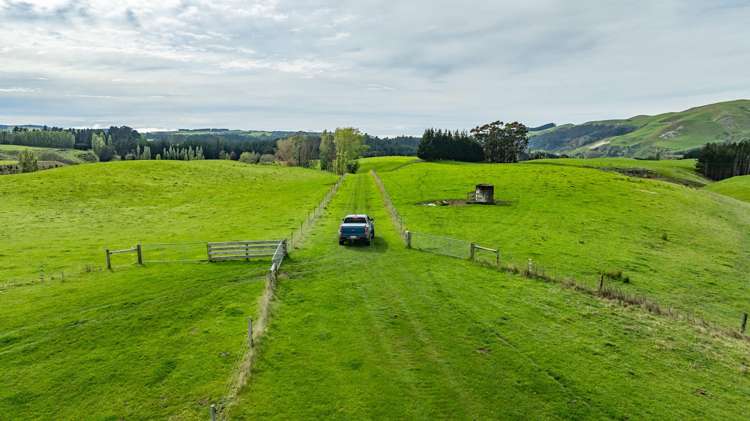 1241 Blythe Road Domett_8