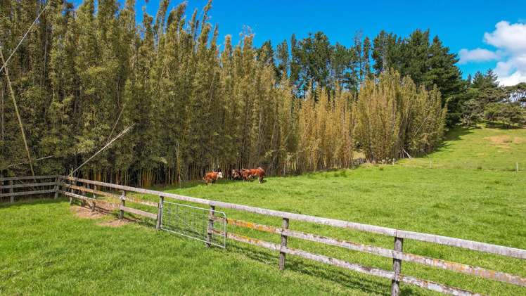 71 Hukatere Road Houhora_30