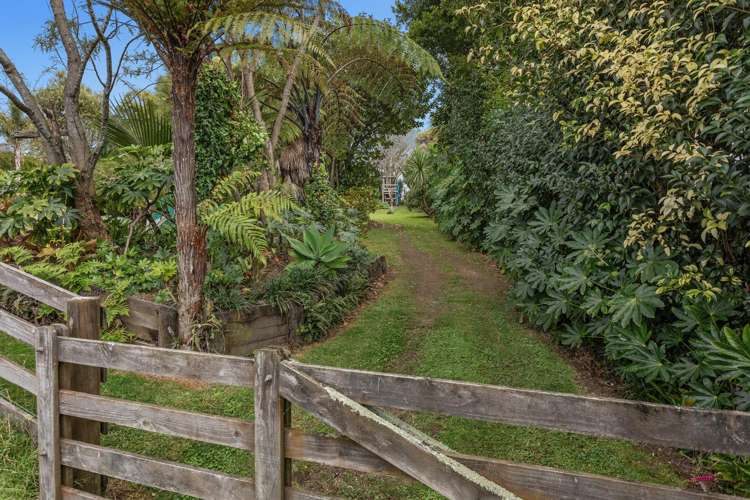 281 McCarthy Road Opotiki_6
