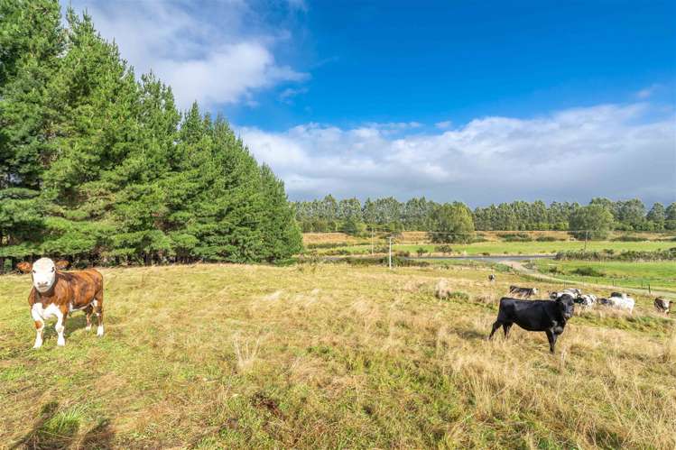 315 Wyndham Road Gore Surrounds_23