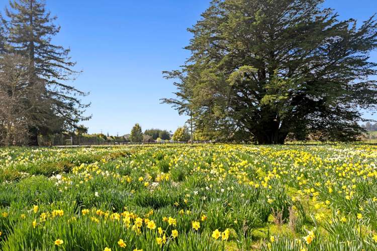 66 Central Road Lower Moutere_14