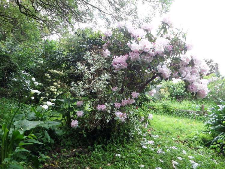 8 Renall Street Featherston_19