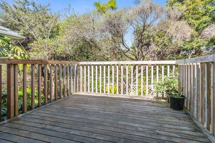 1/253 Kepa Road Mission Bay_1