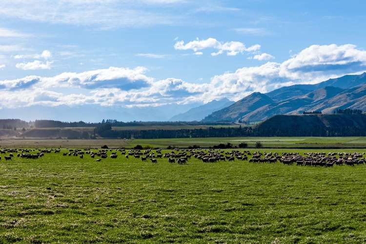 Lot 3, Northview Terraces Luggate_10