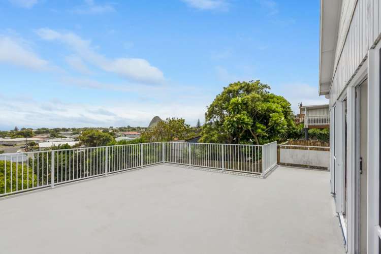 9 Mount View Place Spotswood_4