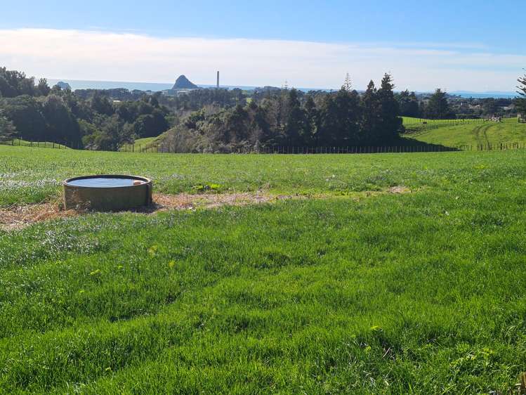 568 South Road Omata_8