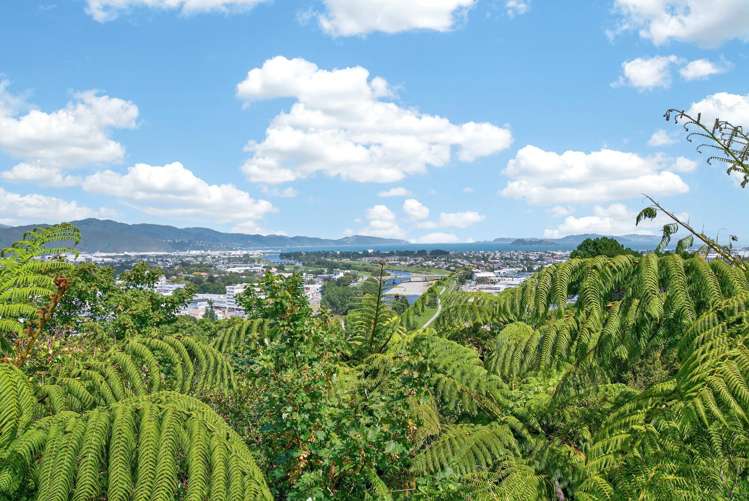 12H City View Grove Harbour View_3