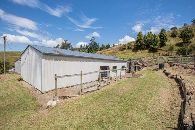 121 Gomez Road Hikurangi_4