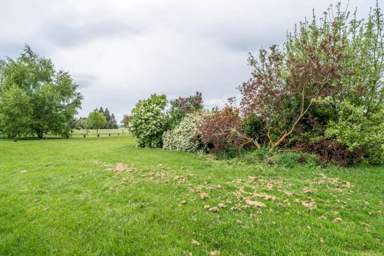 670 Lumsden-Riversdale Highway Lintley_14