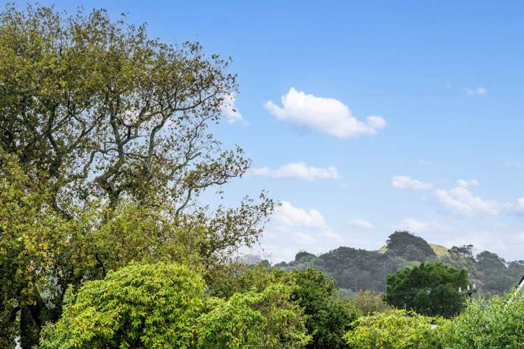 Lot 1,2,6/46 View Road Mt Eden_20