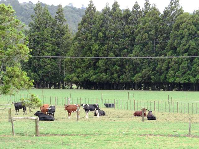 16 Mclennan Road Whakapara_3