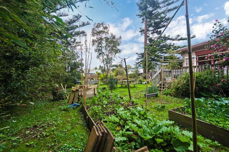 1/15 Margan Avenue New Lynn_3