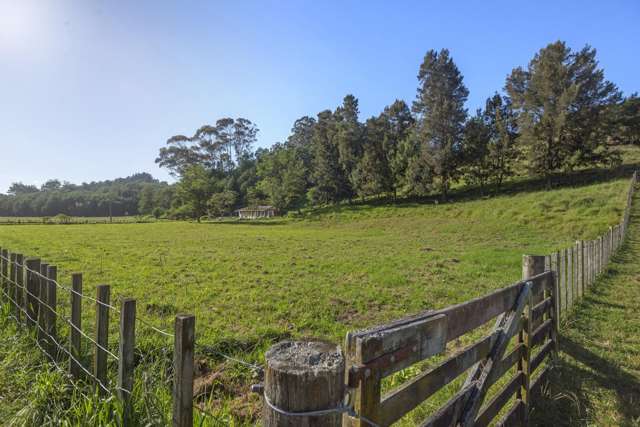 Part 171 Pakowhai Road Muriwai_2