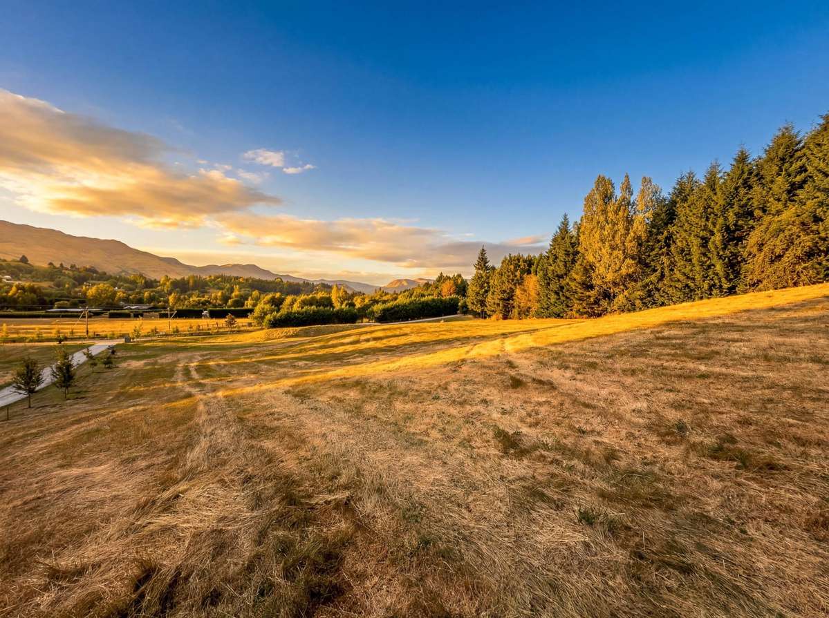 26 Fitzpatrick Road_4