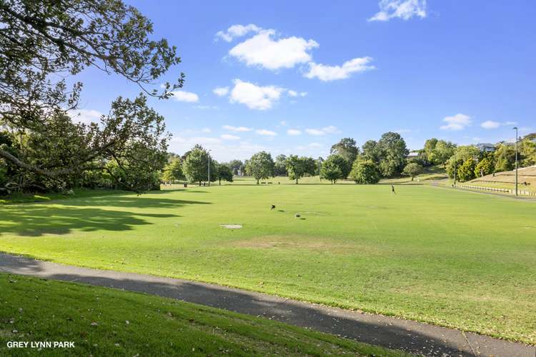 58 Elgin Street Grey Lynn_14