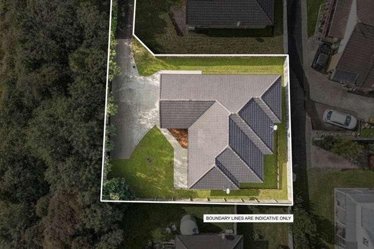 108B Don Buck Road Massey_12