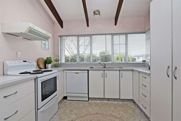 1229 Louie Street Parkvale_11