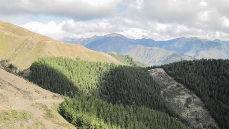 1234 Leatham Road Wairau Valley_17