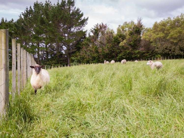 812 Richmond Road Lepperton_23