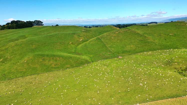 412 France Road Matamau_11