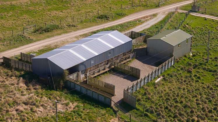 137 McLeods Road Palmerston_18