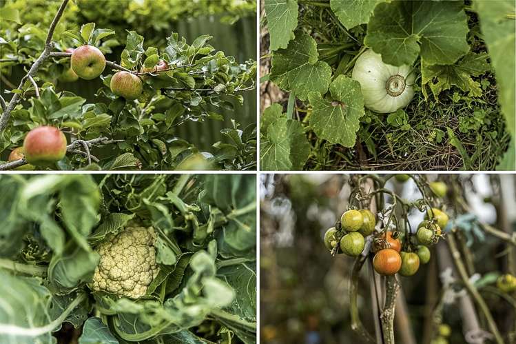 25 Kawatiri Avenue_4