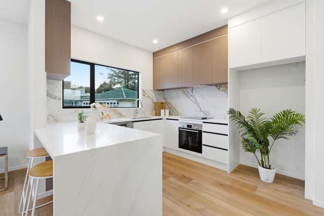 Lot 3/5 Arawa Street New Lynn_4