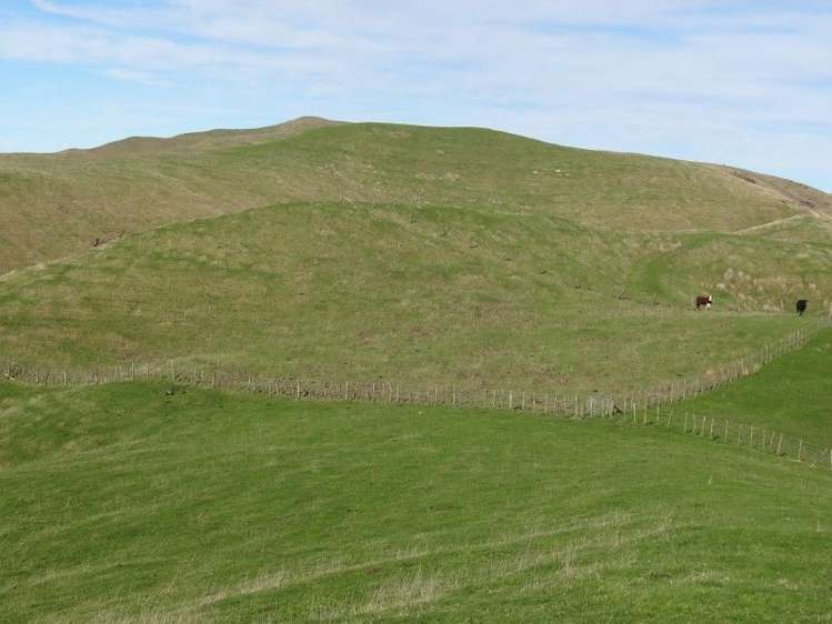 84579 State Highway 2 Eketahuna_7