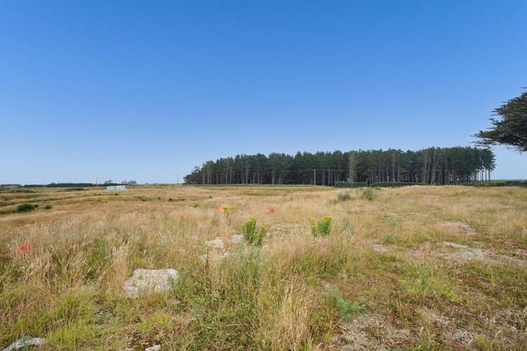 103 & 121 Coggins Road New River Ferry_4