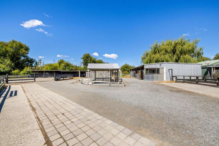 219 Coutts Island Road Coutts Island_13