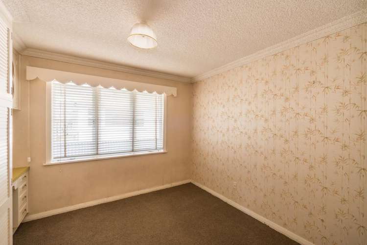 567 Ruahine Street Hokowhitu_9