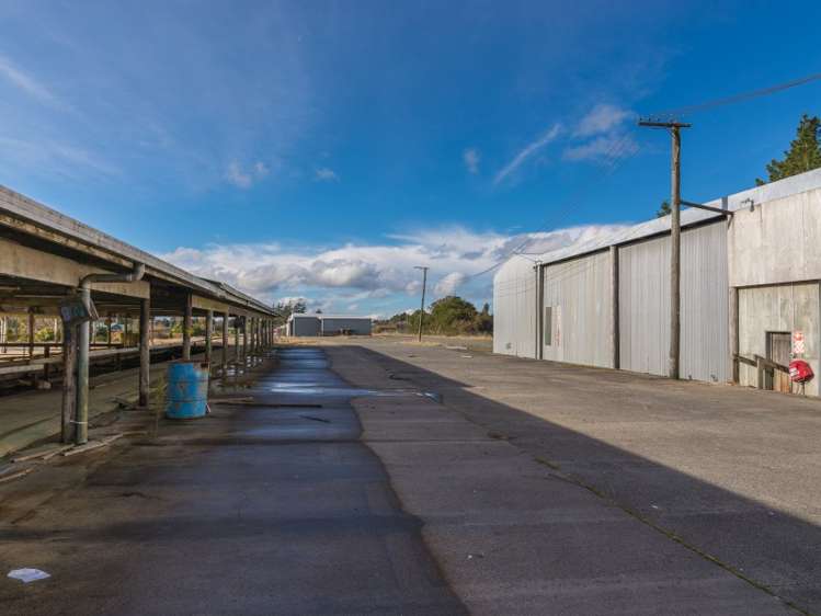 50 Mamaku Street Mamaku_21