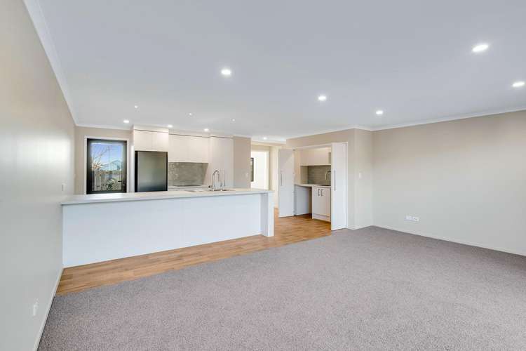 119B Williams Street 11373_7