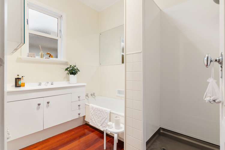 119 Point Chevalier Road Point Chevalier_11