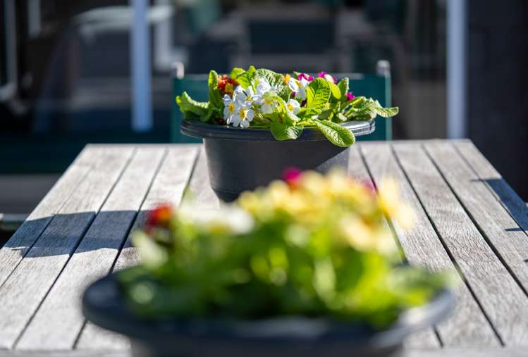 7 Mckinnon Street Leamington_16